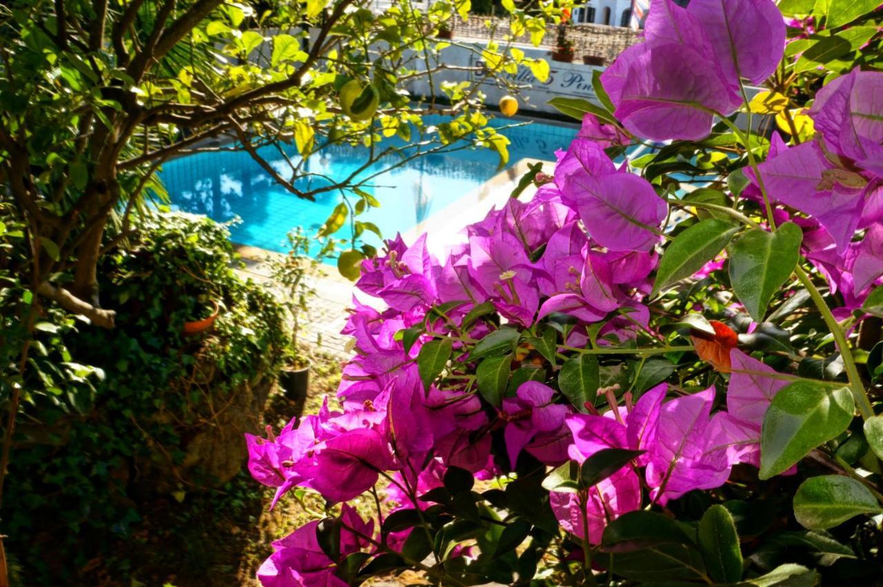 كازاميتْشيولا تيرمي Villa Cinque Pini المظهر الخارجي الصورة
