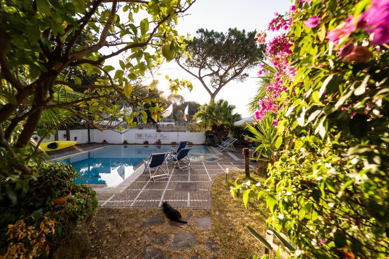 كازاميتْشيولا تيرمي Villa Cinque Pini المظهر الخارجي الصورة