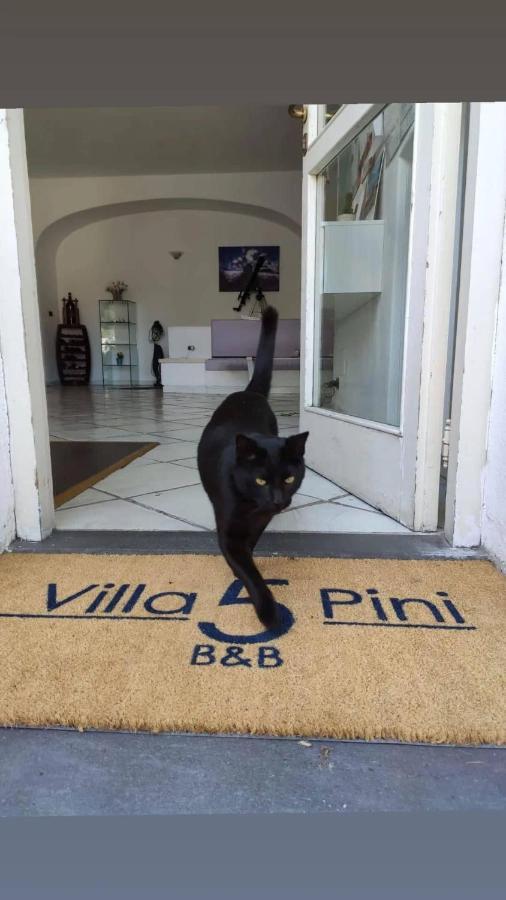 كازاميتْشيولا تيرمي Villa Cinque Pini المظهر الخارجي الصورة