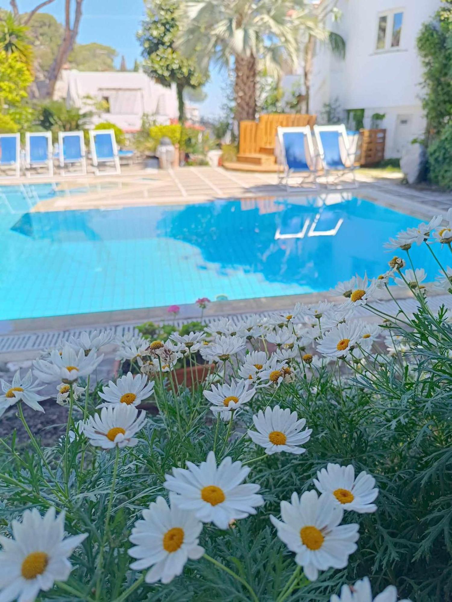 كازاميتْشيولا تيرمي Villa Cinque Pini المظهر الخارجي الصورة