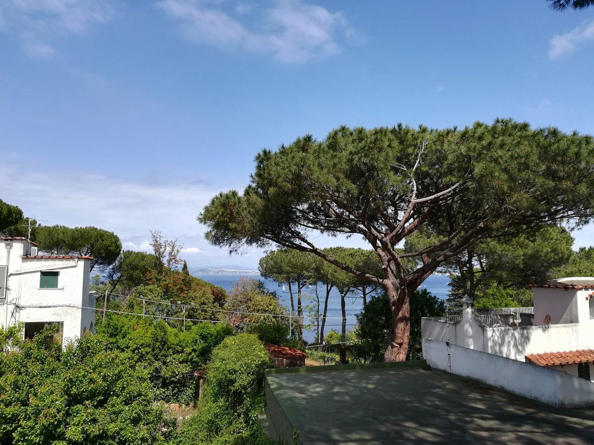 كازاميتْشيولا تيرمي Villa Cinque Pini المظهر الخارجي الصورة